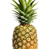 Pineapple 300x300